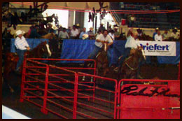 Team Penning