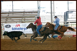 Team Roping