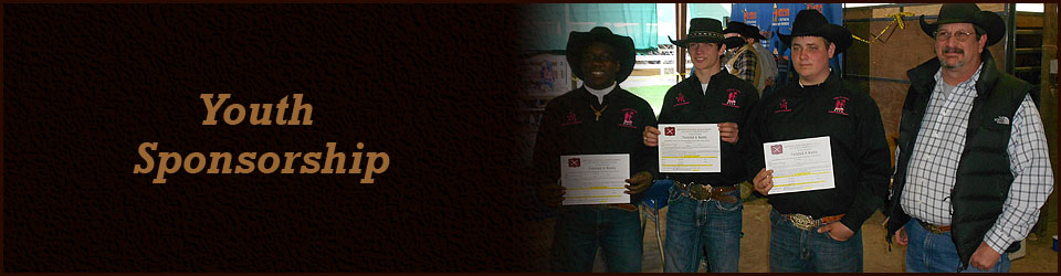 Youth Sponsorship