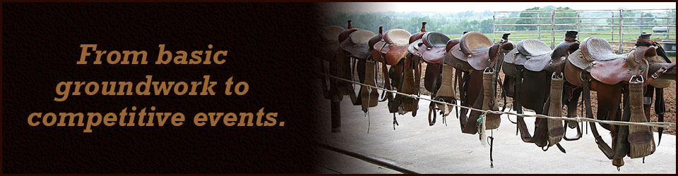 From basic groundwork to competitive events.